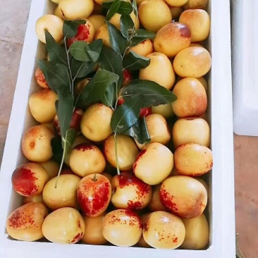 精品优质大荔冬枣品牌