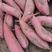 山东优质西瓜红26红薯大量供应，全国发货视频看货