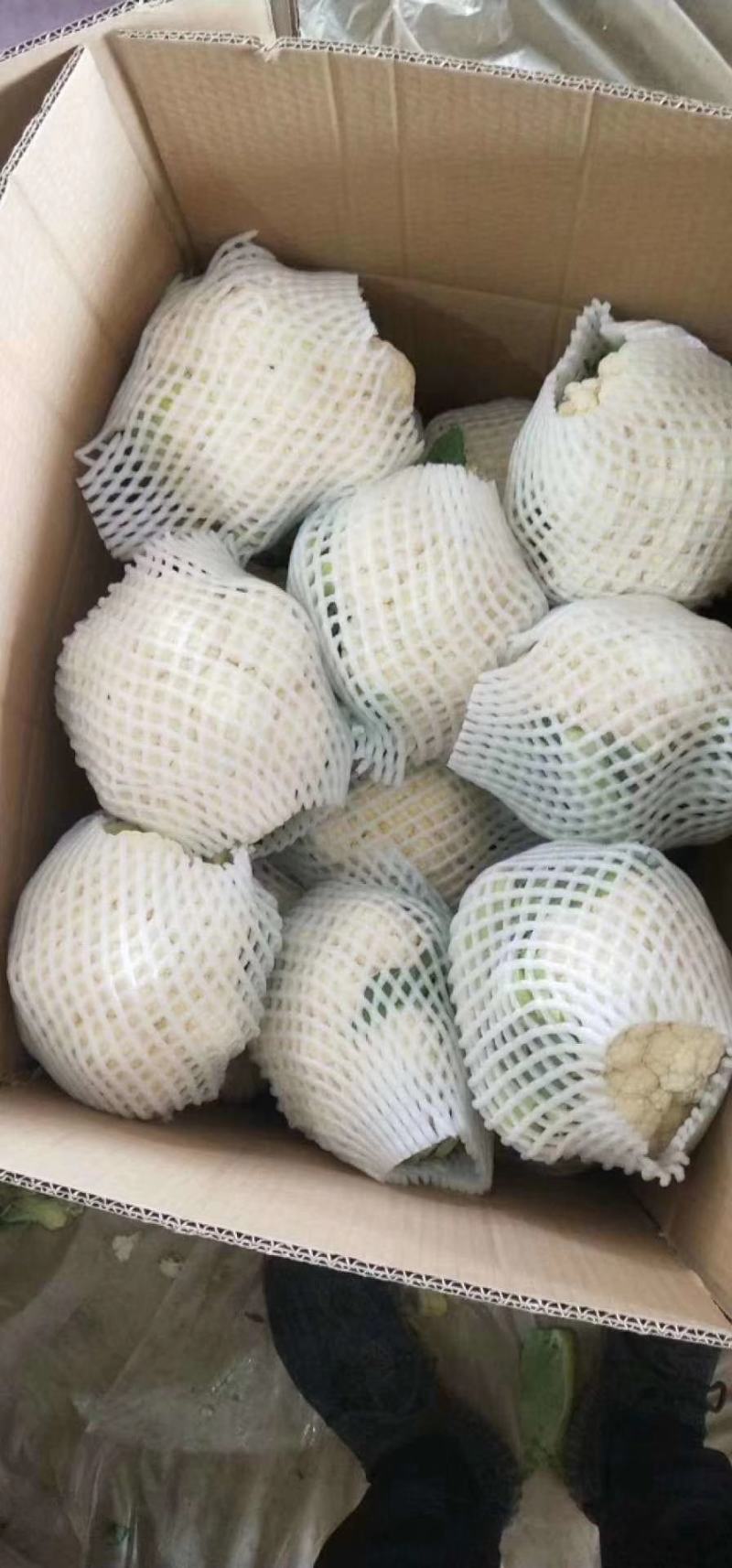 精品菜花。大量上市。走超市，走市场，加工厂。
