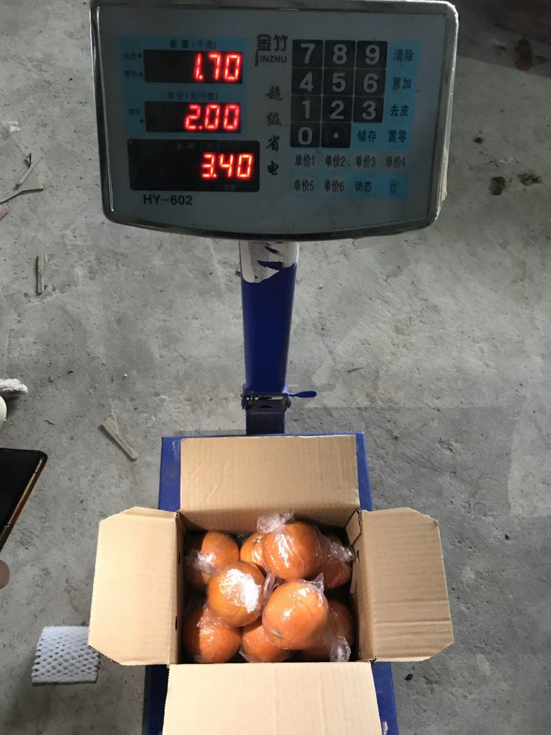 供货7904湖南脐橙基地直供，品质上乘，全国发货