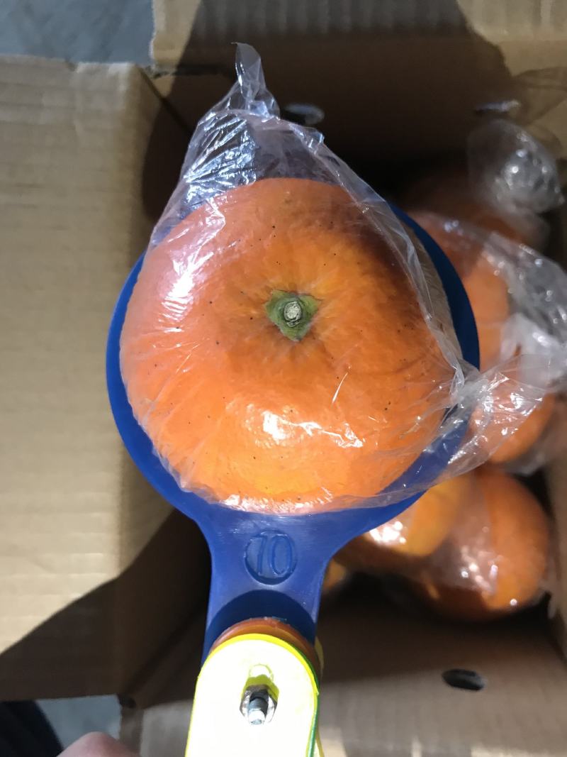 供货7904湖南脐橙基地直供，品质上乘，全国发货