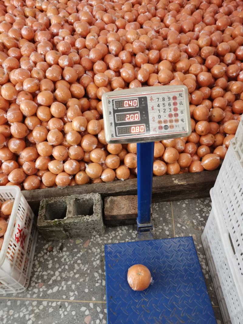 供货7904湖南脐橙基地直供，品质上乘，全国发货