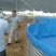 镀锌板帆布池大型养殖帆布高位帆布池种植养殖蓄水池