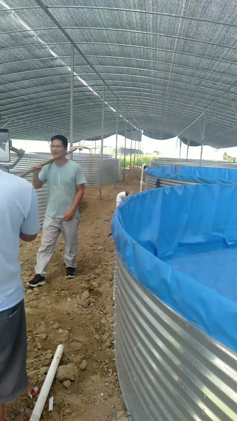 镀锌板帆布池大型养殖帆布高位帆布池种植养殖蓄水池