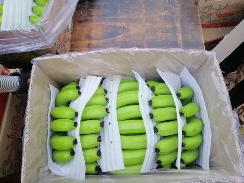 佳农香蕉产品展示图
