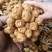 选躲滑子菇福建古田食用菌批发市场批发滑子菇，专卖更专业。