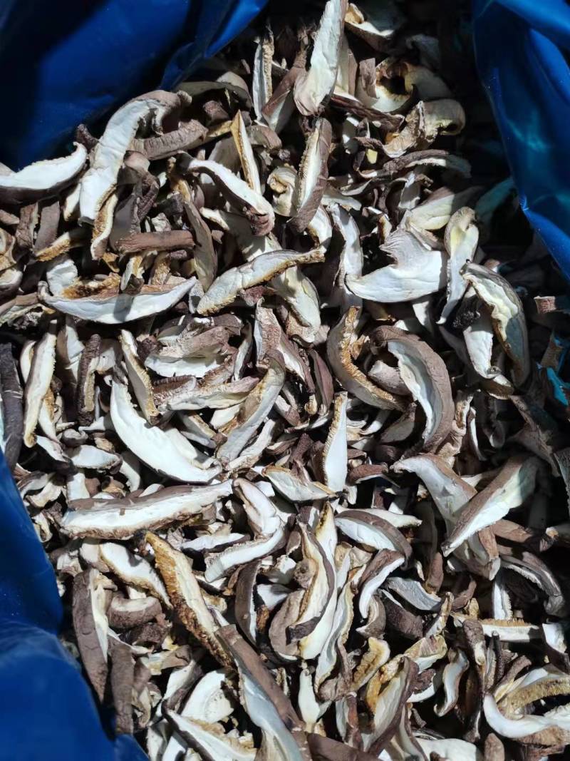 【精选】河南洛阳冬菇干香菇香菇产地直发品质保证