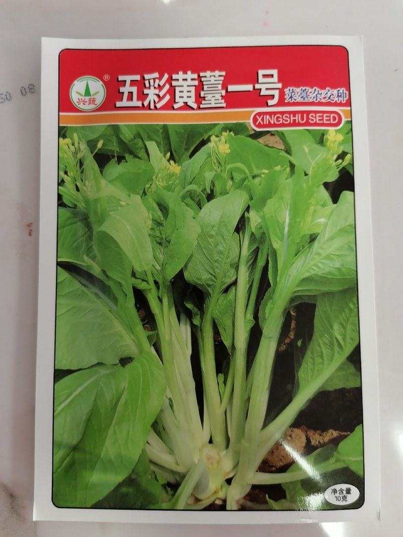 五彩黄苔一号菜苔杂交种（湖南兴蔬种业有限公司）
