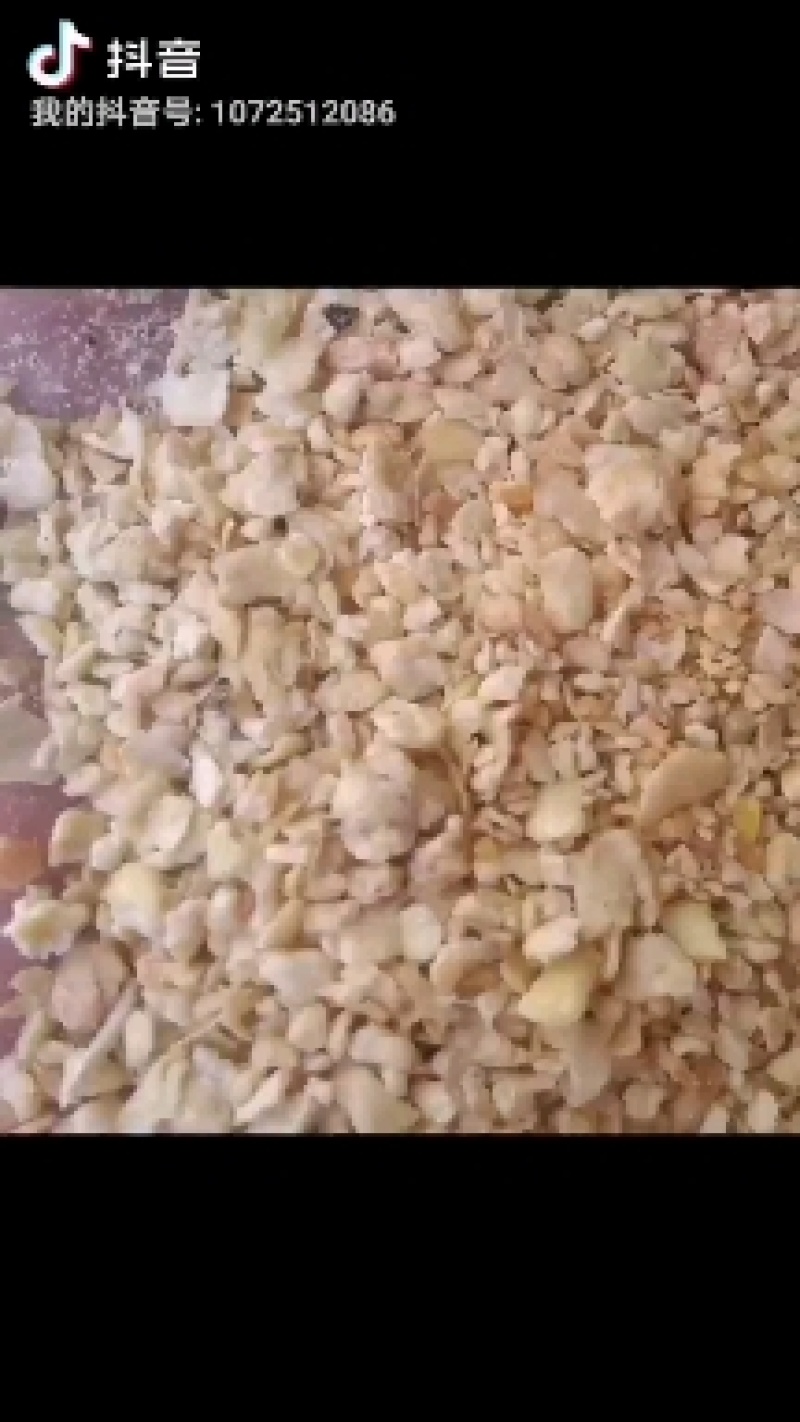 优质大颗粒豆柏颜色好