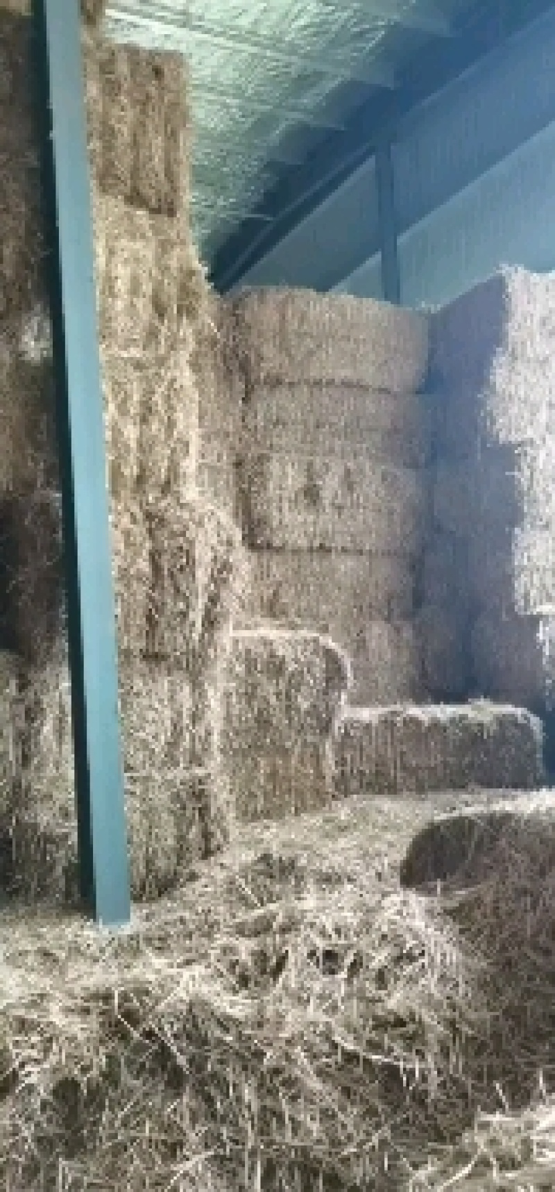 大梱小麦杆品质有保障，诚信经营，量大从优，欢迎选购