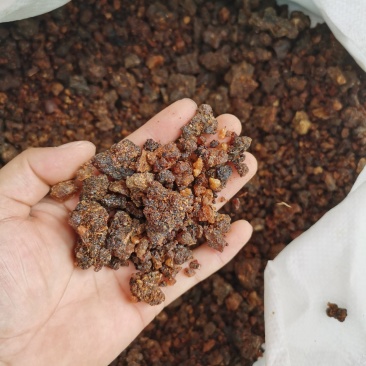 没药珠精品没药珠大颗粒无硫净货无杂质