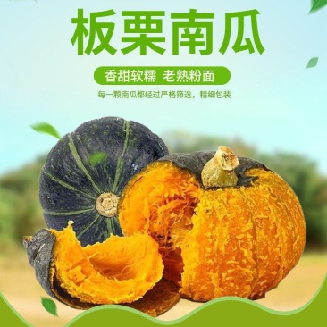 专业代发电商商超经验丰富品质高回购率高出货快