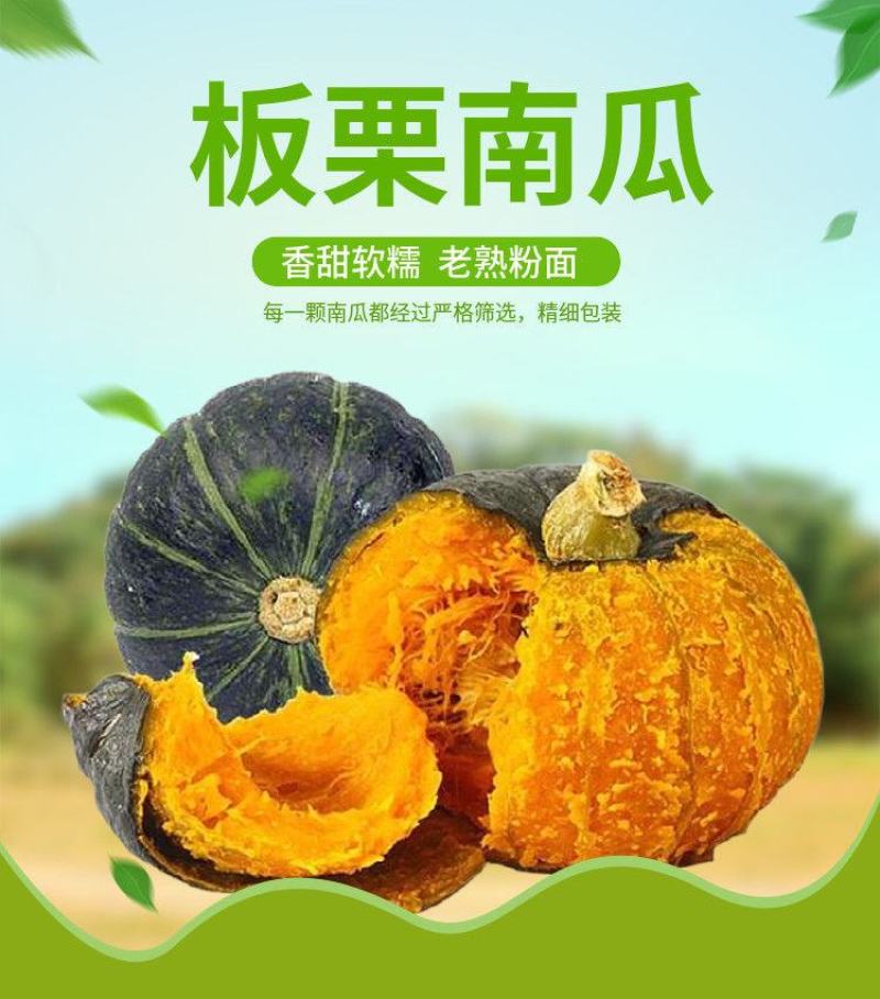 专业代发电商商超经验丰富品质高回购率高出货快
