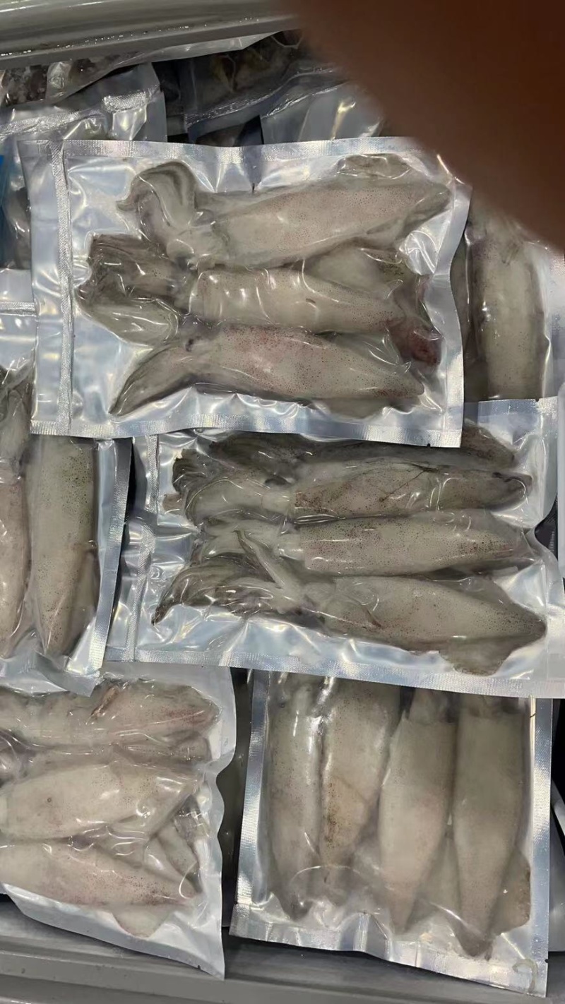 鲜活速冻笔管鱼灯光鱿鱼大海兔尤鱼海鲜水产