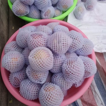 陕西韩城小时自家种植的红富士苹果，脆甜可口，皮薄多汁！