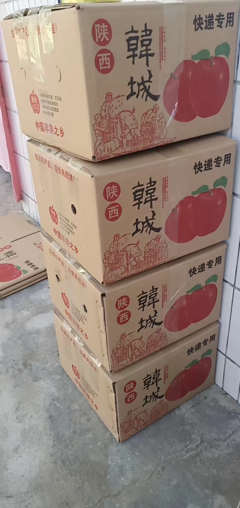 陕西韩城小时自家种植的红富士苹果，脆甜可口，皮薄多汁！