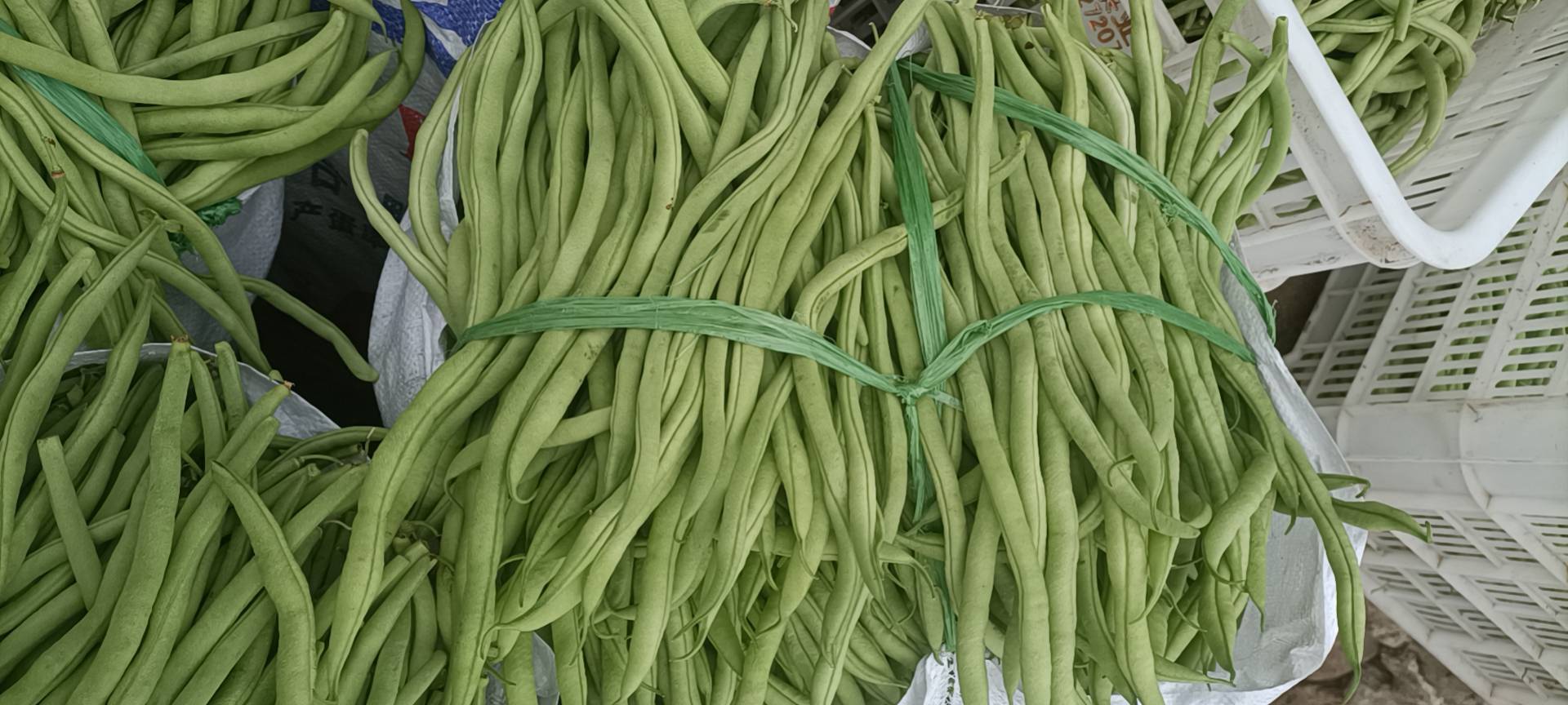 市场中的绿色扁豆角