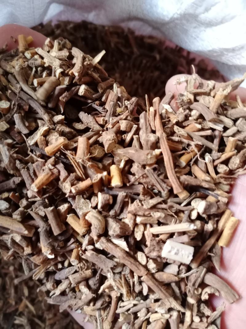 寻骨风，常年批发供应冷背中药材寻骨风实图拍摄
