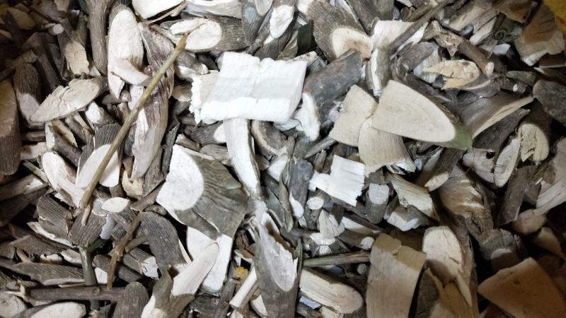 广西省来宾市金秀县大瑶山黄花倒水莲