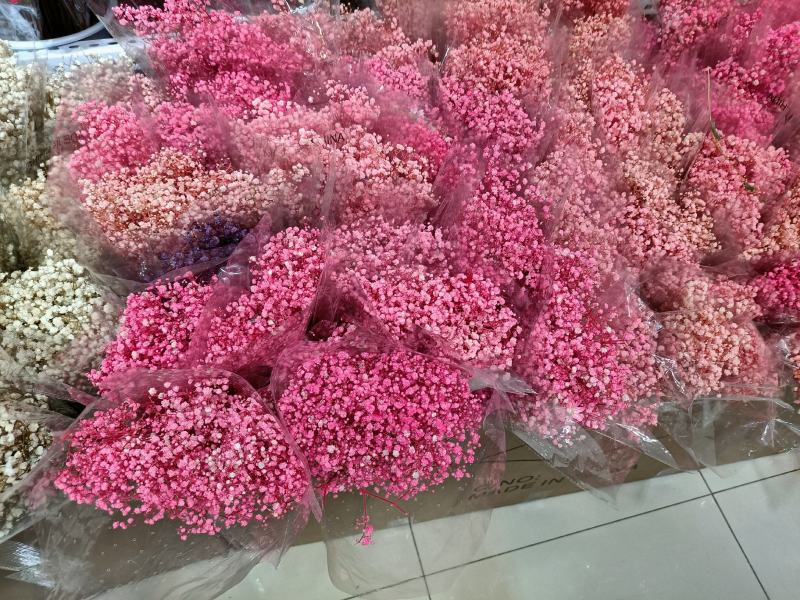 昆明满天星永生花，彩色情人草！勿忘我加工厂成品批发