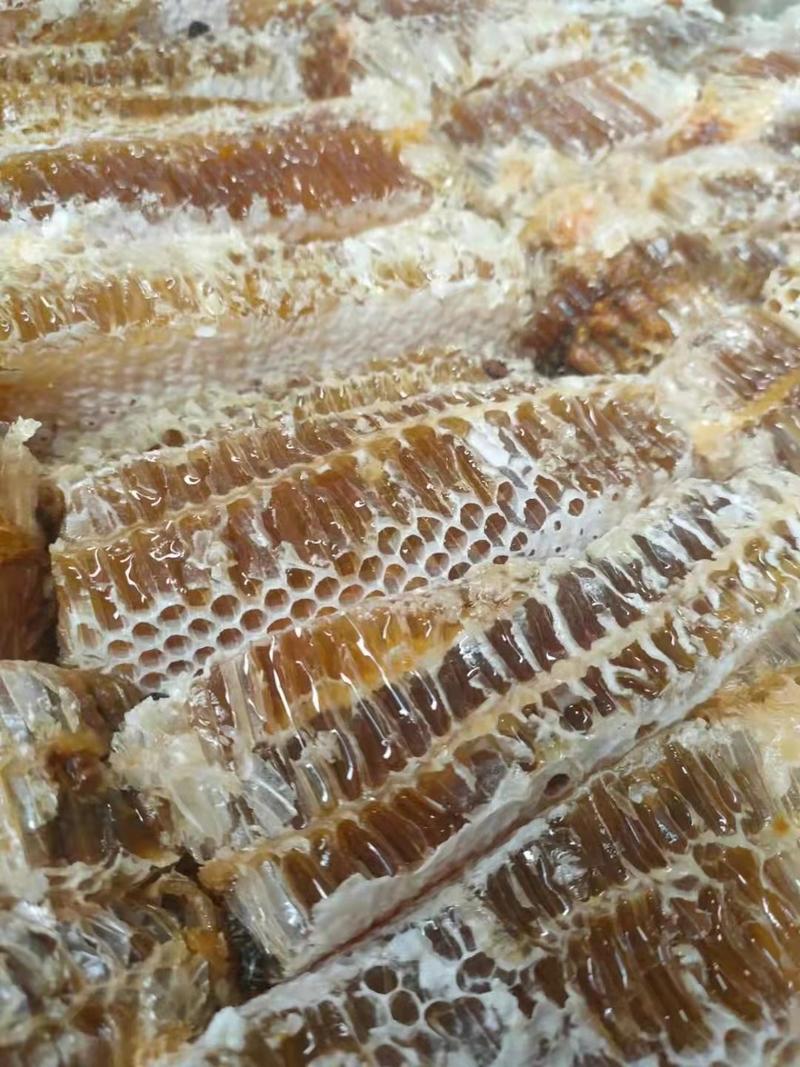 农家养殖，一手货源高品质中蜂巢蜜整箱批发每箱90斤