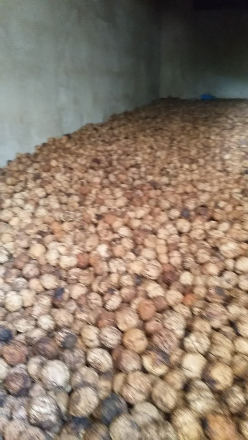 云南核桃仁，薄皮核桃果，2023年新货个大饱满，口感酥脆