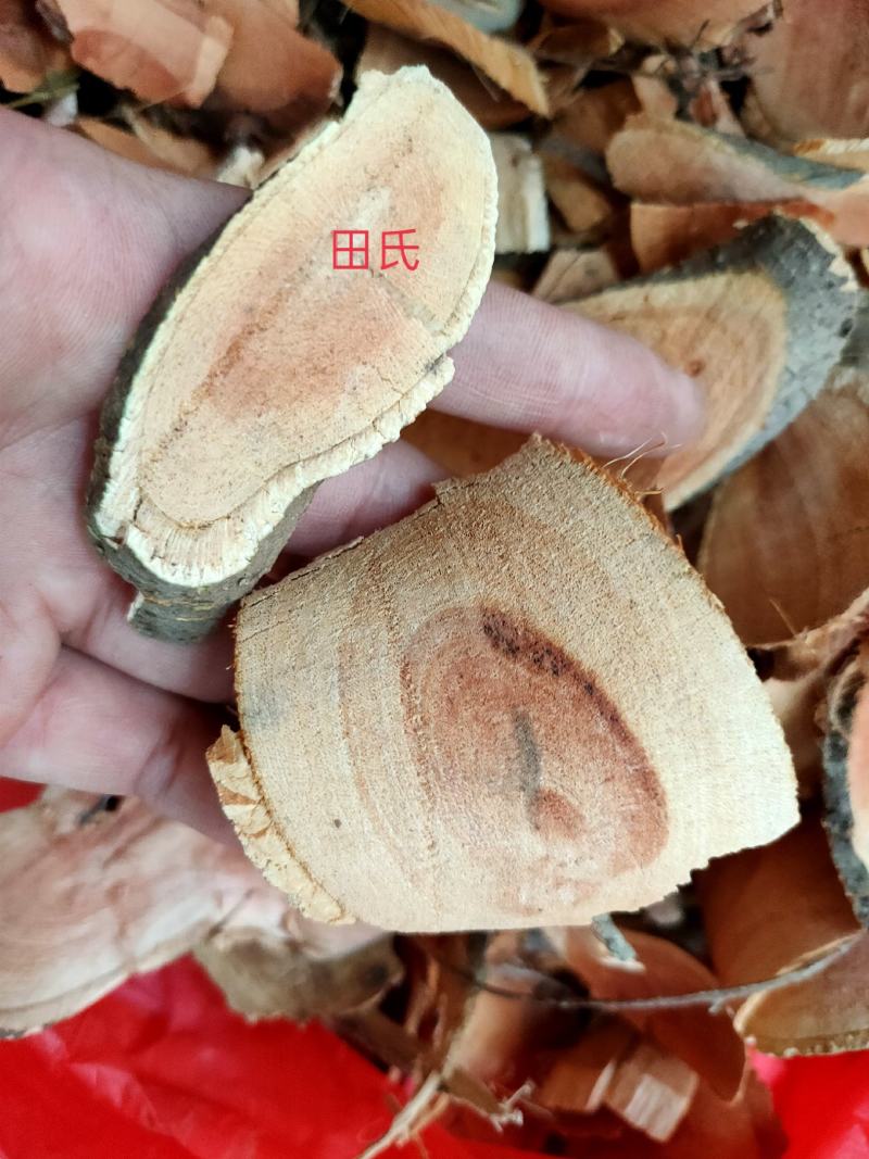 爬山虎中药材枫藤爬墙虎假葡萄藤走游藤