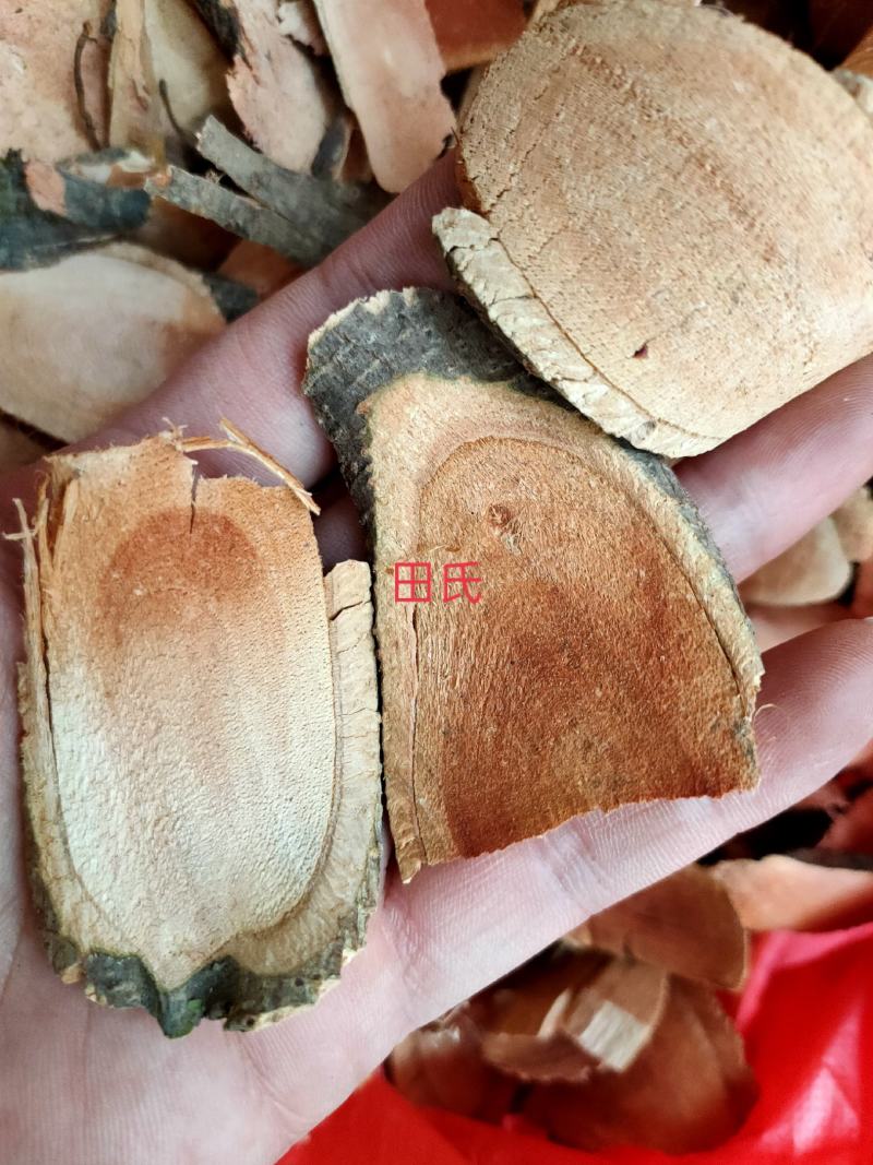 爬山虎中药材枫藤爬墙虎假葡萄藤走游藤