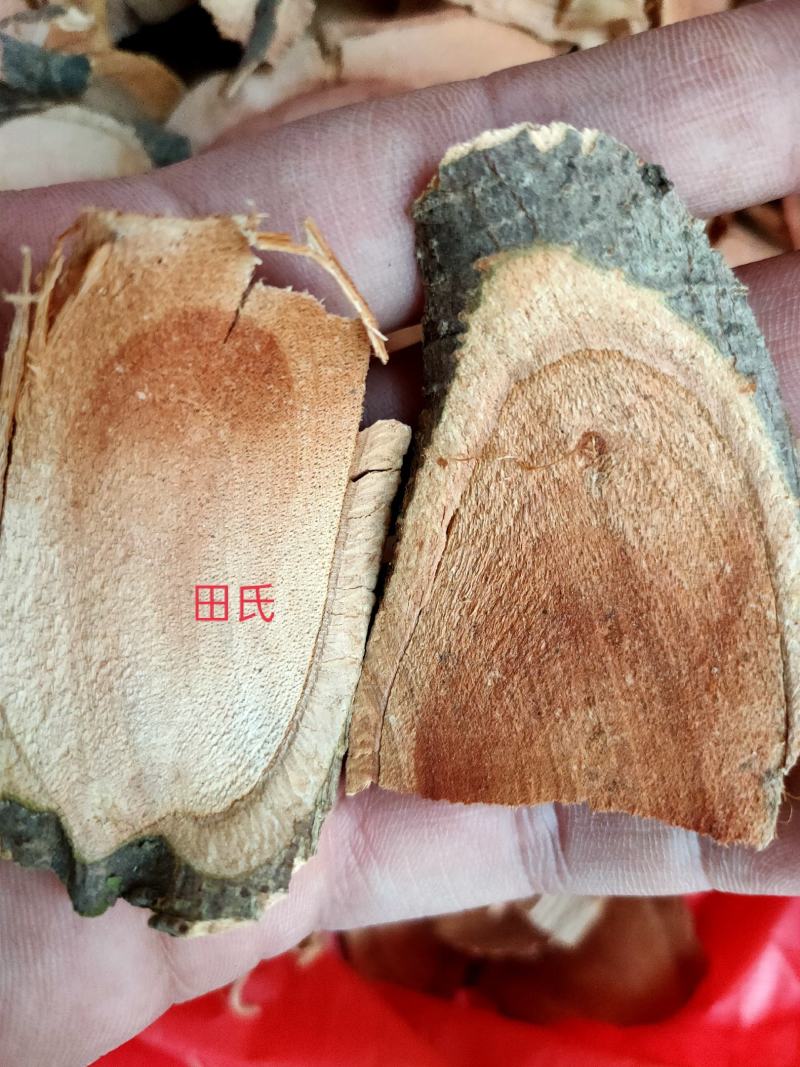 爬山虎中药材枫藤爬墙虎假葡萄藤走游藤