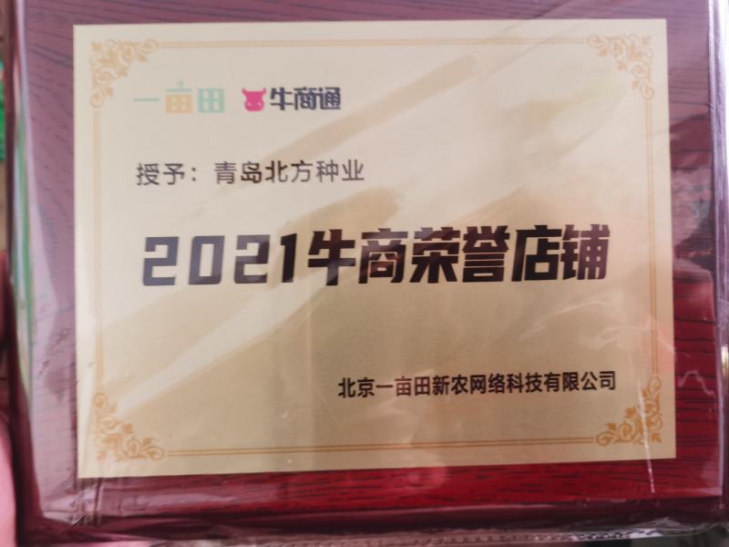 优美格兰特华盛F1菠菜种子墨绿叶抗病丰产优质耐贮