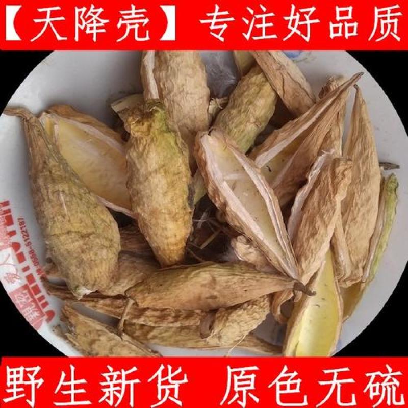 天浆壳，中药材天降壳干度好颜色靓，二斤起批不包邮