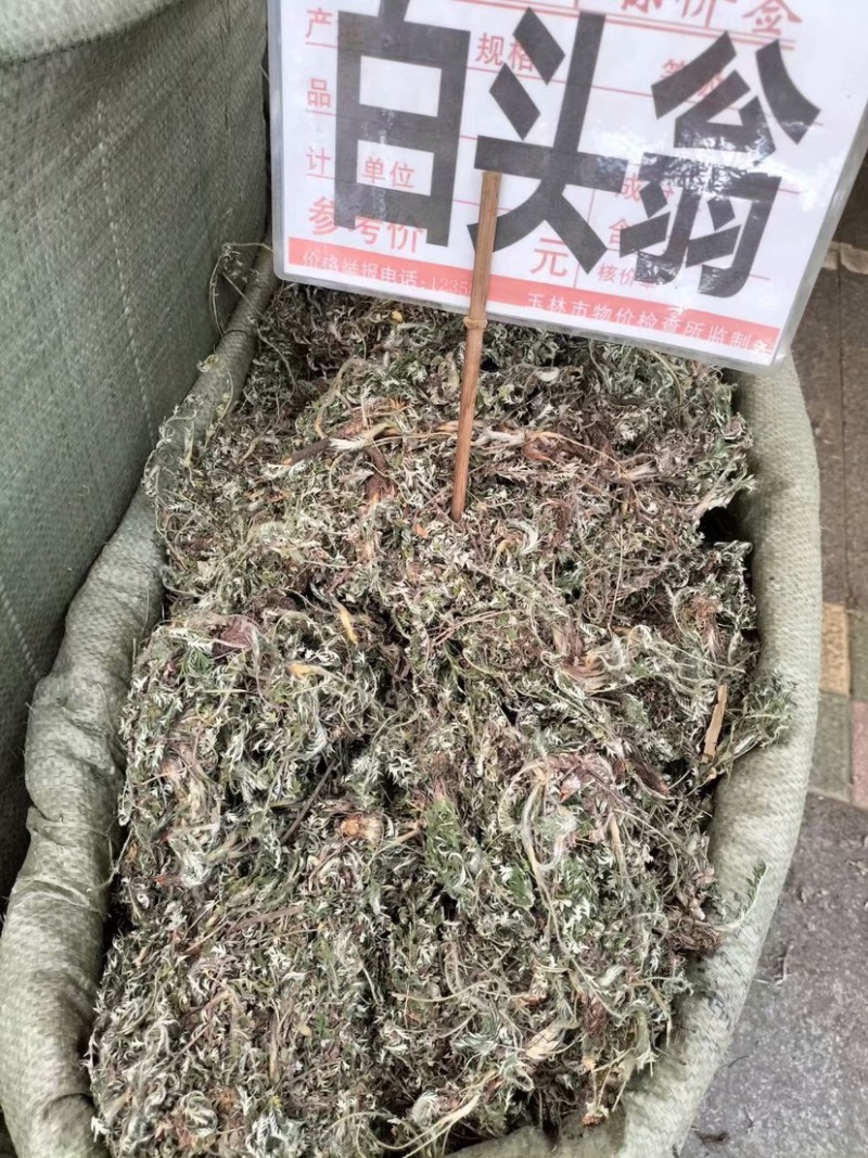 中药材白头翁货品质量保证批发各种中药材