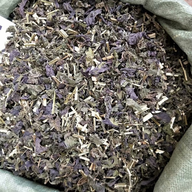 中药材紫苏紫苏叶货品质量保证批发各种中药材