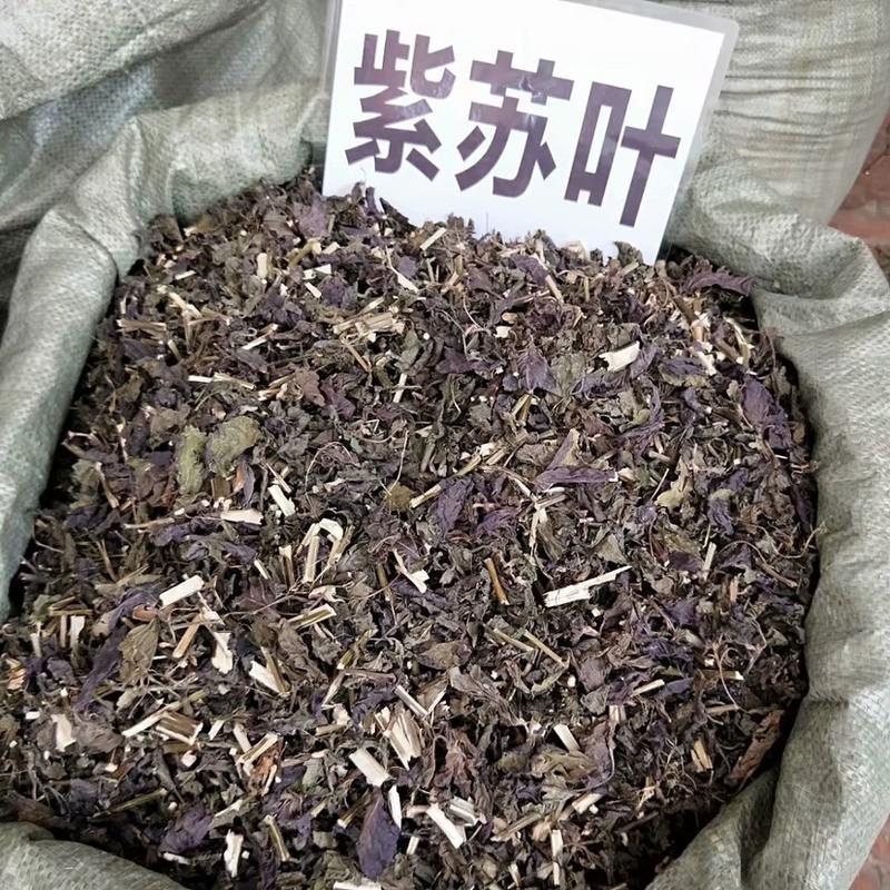 中药材紫苏紫苏叶货品质量保证批发各种中药材