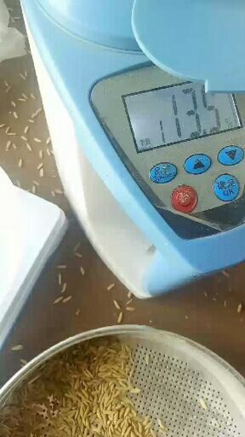 桂潮稻，长粒优质稻，杂交稻，黄花粘，象牙谷，野香优粒丝