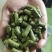 苜蓿草颗粒饲料批发头茬苜蓿草颗粒价格便宜产地生产销售