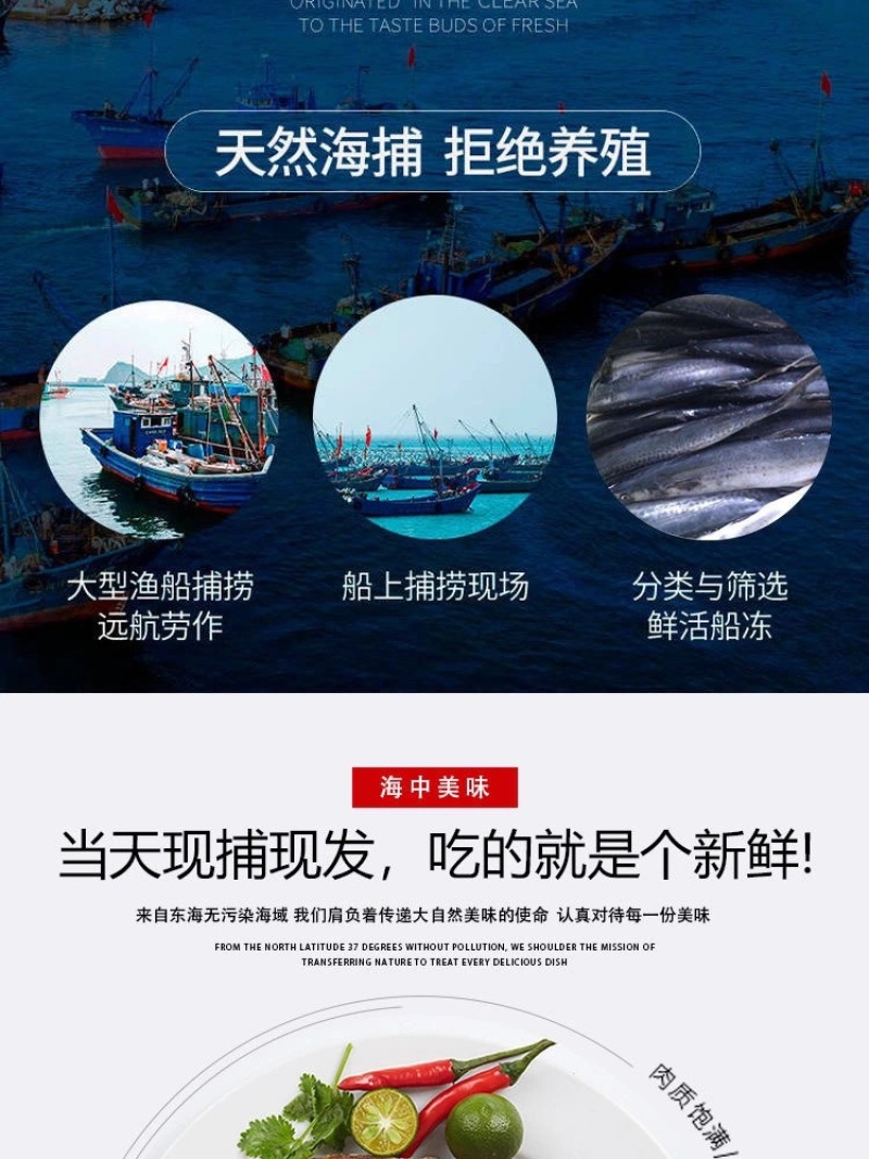 马鲛鱼片