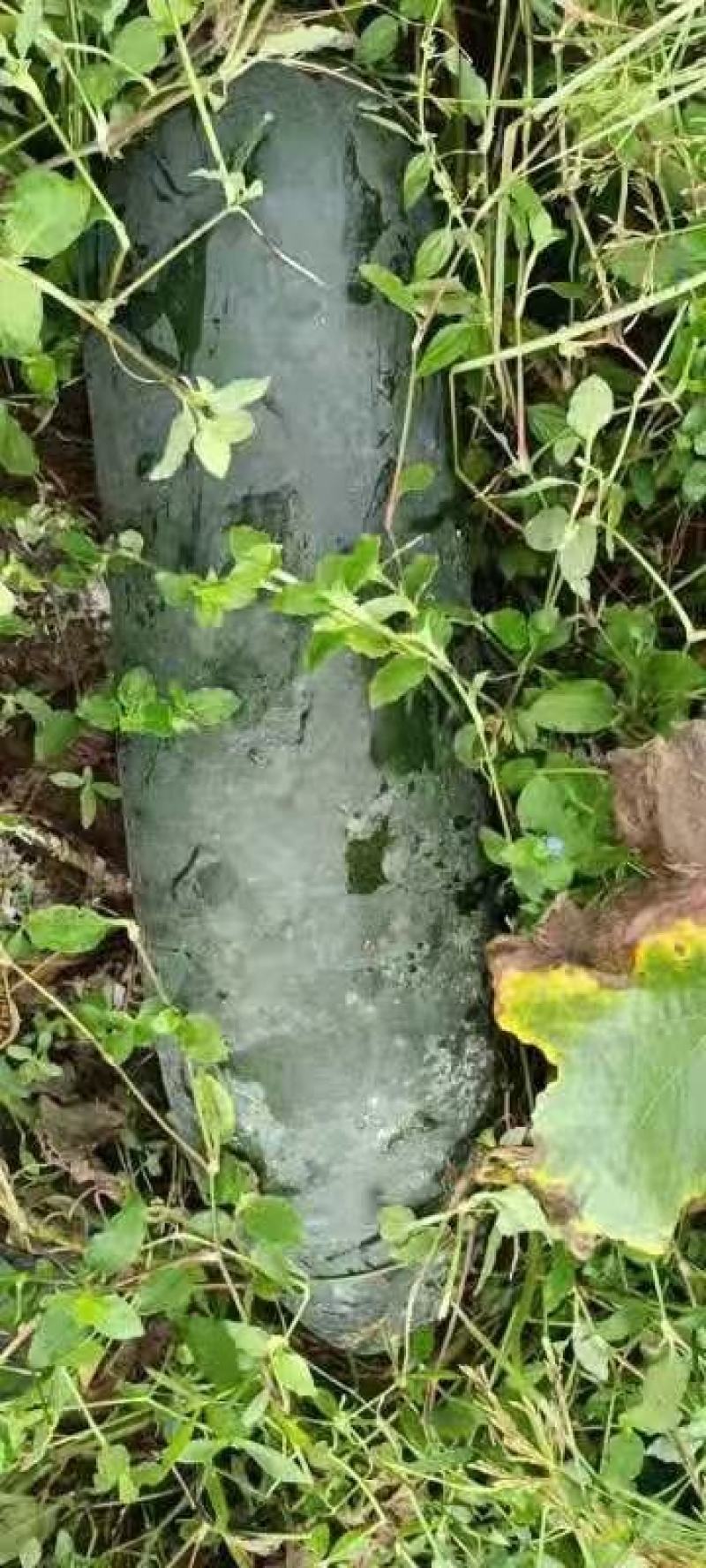 黑皮地冬瓜非吊黑铁柱实心冬瓜长条冬瓜广西冬瓜品种