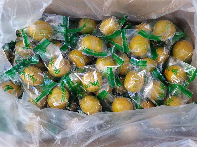 黄金罗汉果低温果传统罗汉果
