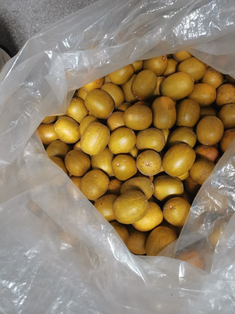 黄金罗汉果低温果传统罗汉果