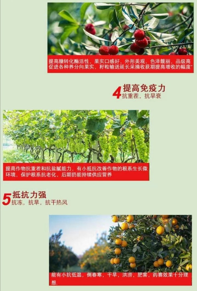 甲壳素鱼蛋白海藻肥微生物菌肥黄腐酸钾冲施肥桶装水溶肥