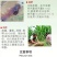 甲壳素鱼蛋白海藻肥微生物菌肥黄腐酸钾冲施肥桶装水溶肥