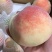各种红毛桃不同季节不同品种到十月份都有货无伤无坏好货