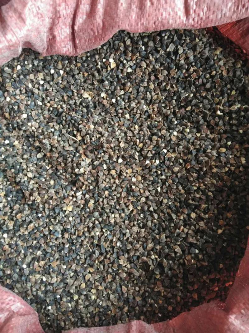 荞麦，西北纯红花小颗粒（精选净粮）批发，2024年新粮，