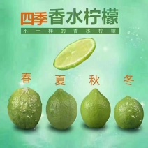 准备三两天开摘5一6百斤