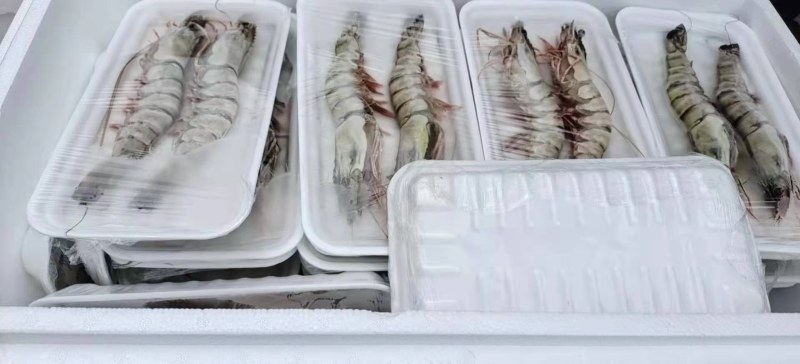大虎虾超大黑虎虾大虾斑节虾大明虾海捕活冻虎虾