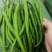 河南夏邑301辣椒，苏椒，线椒绿色食品，无杂色产地直供