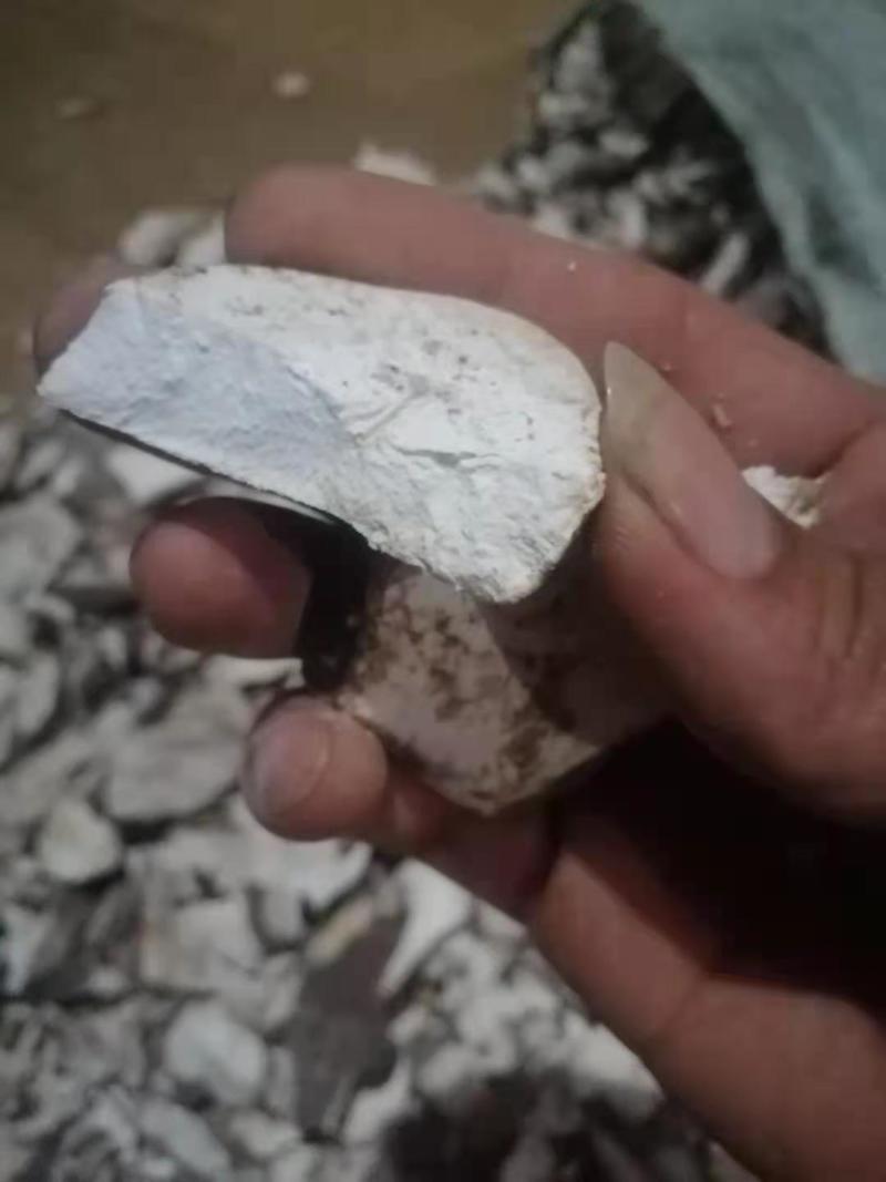 进口木薯干片