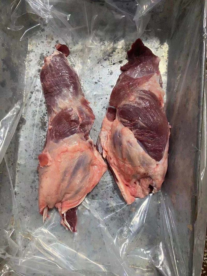 母猪腱子，前腱，后腱，负腱，内腱，龟腱，龟肉，鼠腱