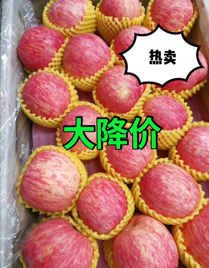 精选红富士苹果【坏果包赔】条纹全红都有支持全国代发代存